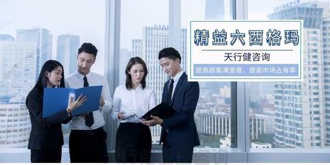 精益六西格玛 驱动企业价值增长的双引擎